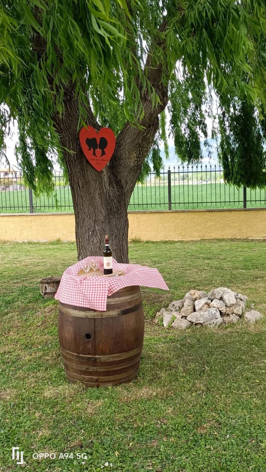 La Vecchia Stalla B&B Нарни Экстерьер фото
