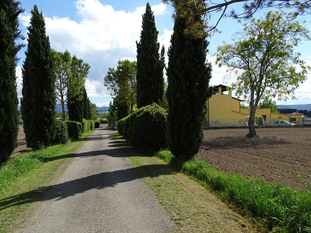La Vecchia Stalla B&B Нарни Экстерьер фото