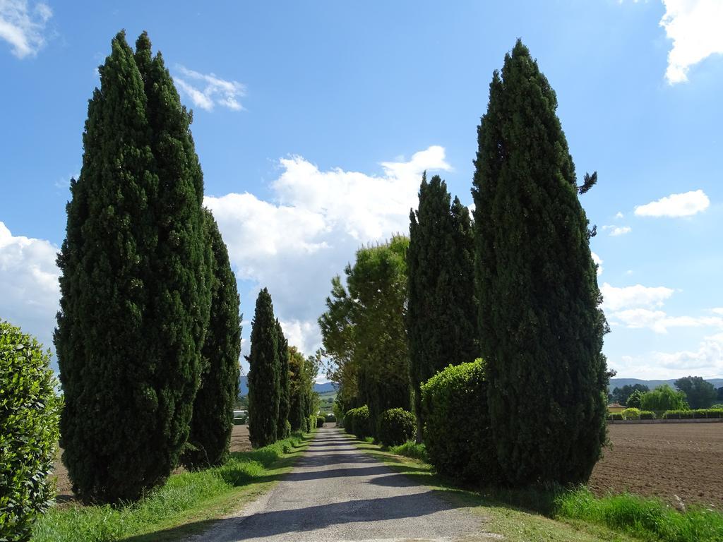 La Vecchia Stalla B&B Нарни Экстерьер фото